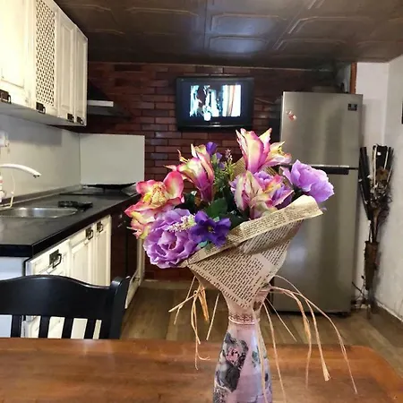 Holiday home Бургасский Дом *